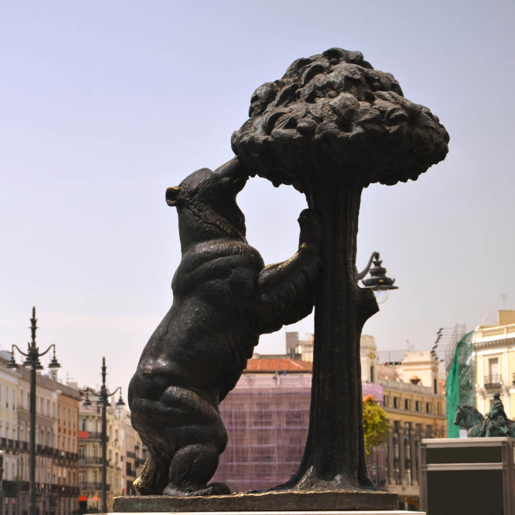 oso-y-madrono
